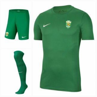 Форма ігрова дитяча зелена NIKE 2024-2025